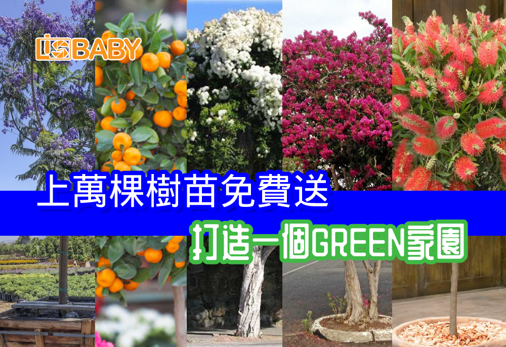 上萬棵樹苗免費送 打造一個綠色家園一起 綠 動起來 Lisbaby